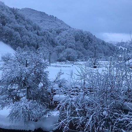 Pensiunea Grapini Sant Esterno foto