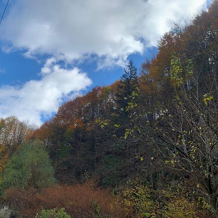 Pensiunea Grapini Sant Esterno foto