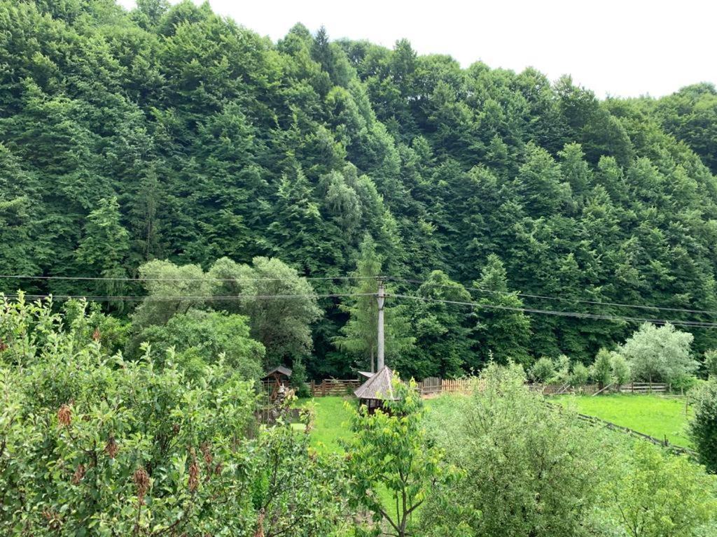 Pensiunea Grapini Sant Esterno foto